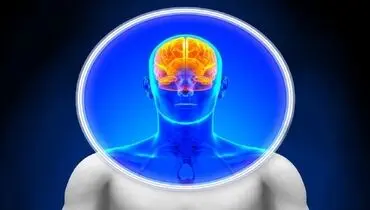 ارتباط احتمالی سینوزیت مزمن با تغییرات در فعالیت مغز