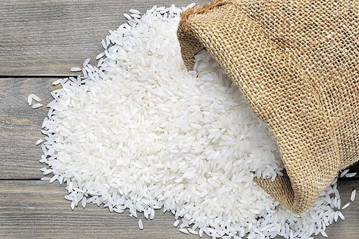 آخرین خبر درباره واردات برنج/ ثبت سفارش برای ۴٠٠ هزار تن برنج
