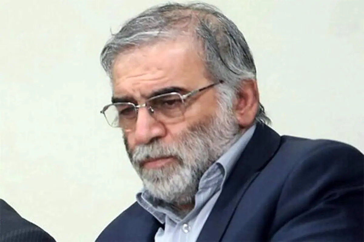 تصویری از شناسنامه شهید دکتر محسن فخری زاده+ عکس
