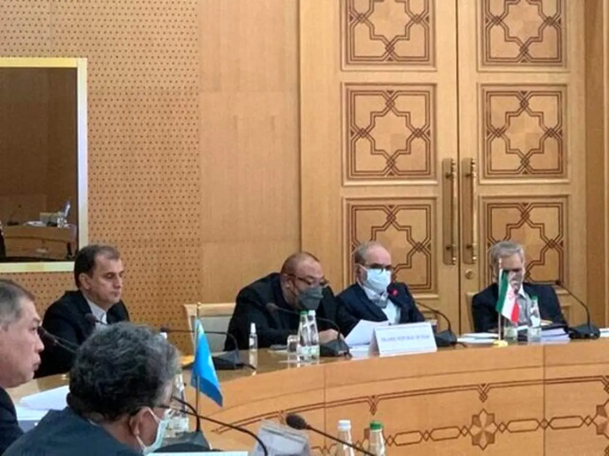 صفری: مشارکت فعال در اکو از اولویتهای سیاست خارجی ایران است