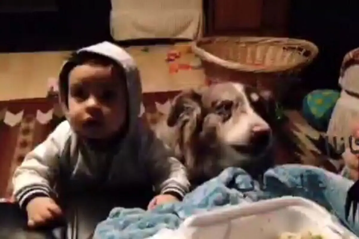 واکنش خنده‌دار یک کودک خردسال به سگ سخن‌گو! + فیلم