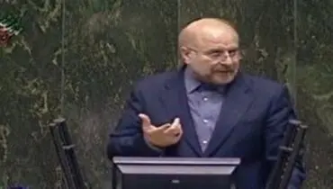 رئیس مجلس: می‌توانیم سوت زنی را قانونی کنیم