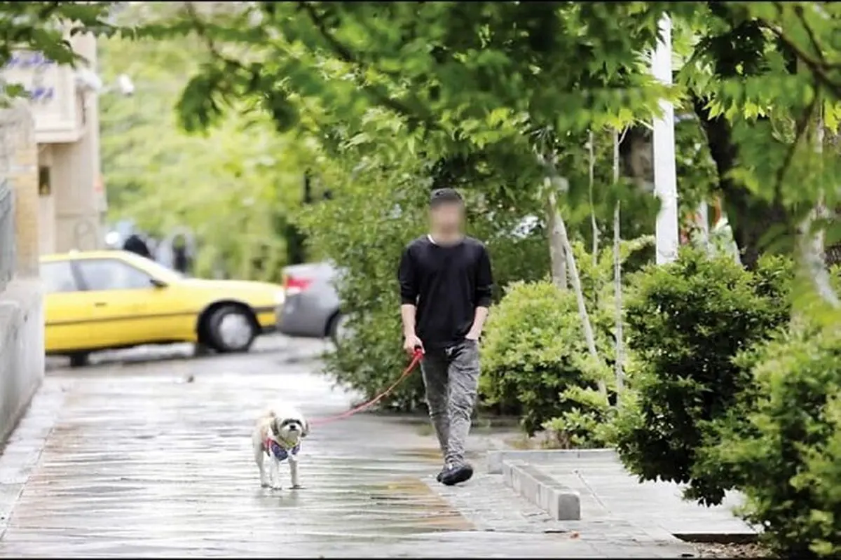 جریمه ۸۰ میلیونی برای نگهداری حیوانات خطرناک