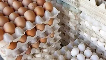 توزیع تخم مرغ وارداتی آغاز شد | قیمت کالاهای اساسی کاهش می یابد؟
