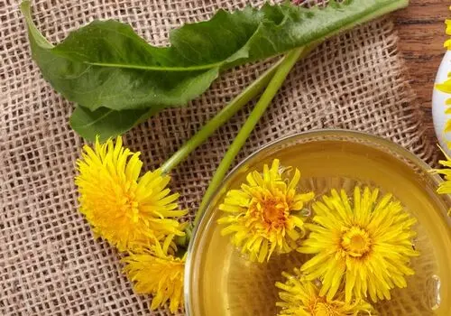 چگونه از شر نفخ خلاص شویم؟