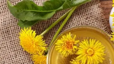  ۱۰ غذای سالم برای رفع نفخ شدید