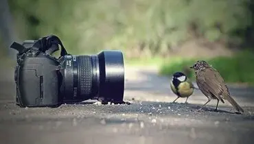مسابقه عکاسی تاریخی ۲۰۲۱