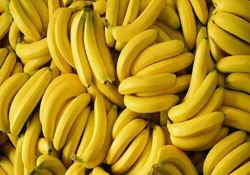 شناسایی میزان مورفین در بدن بیماران با کمک پوشک