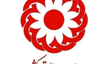 ادعای ازدواج دختران کم سن با مردان مسن در مراکز نگهداری+ واکنش بهزیستی