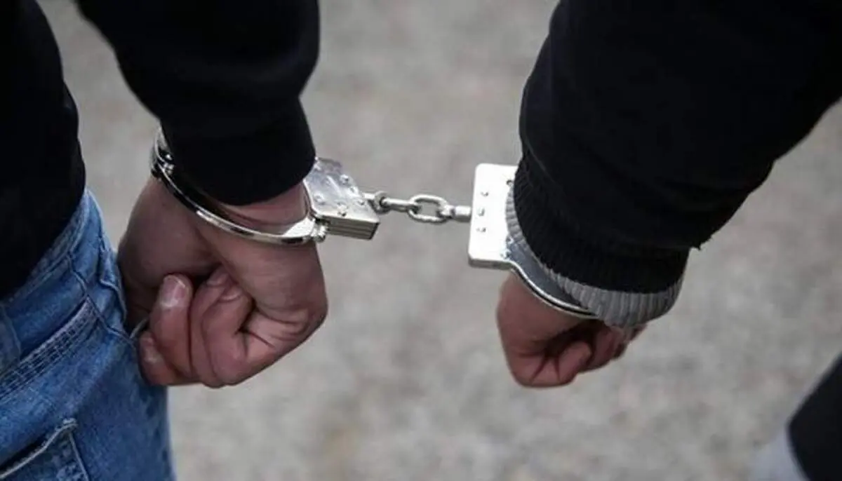 ورود بزرگترین کلاهبردار کشور از مسکو به تهران +فیلم