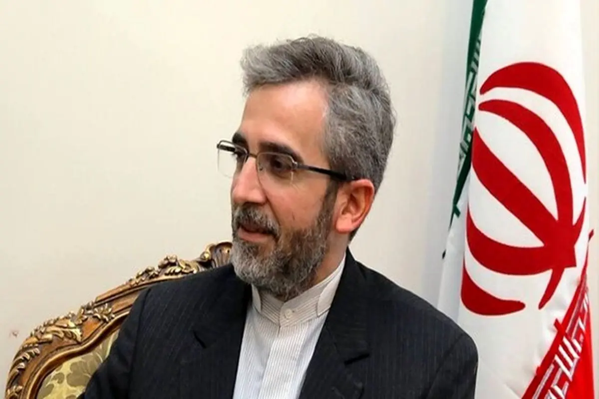 جزییات مذاکرات وین بین ایران و تیم اروپایی از زبان علی باقری +فیلم