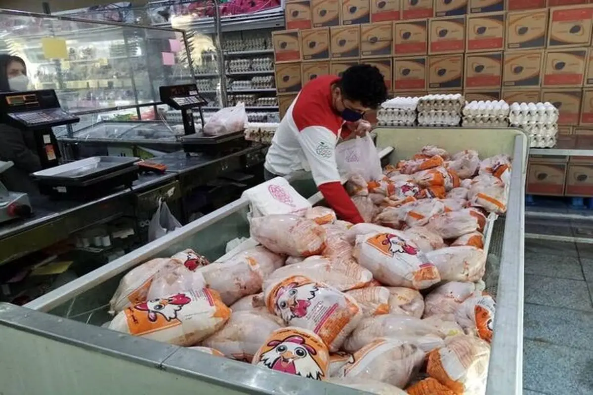 قیمت مرغ گرم در تهران کاهش یافت