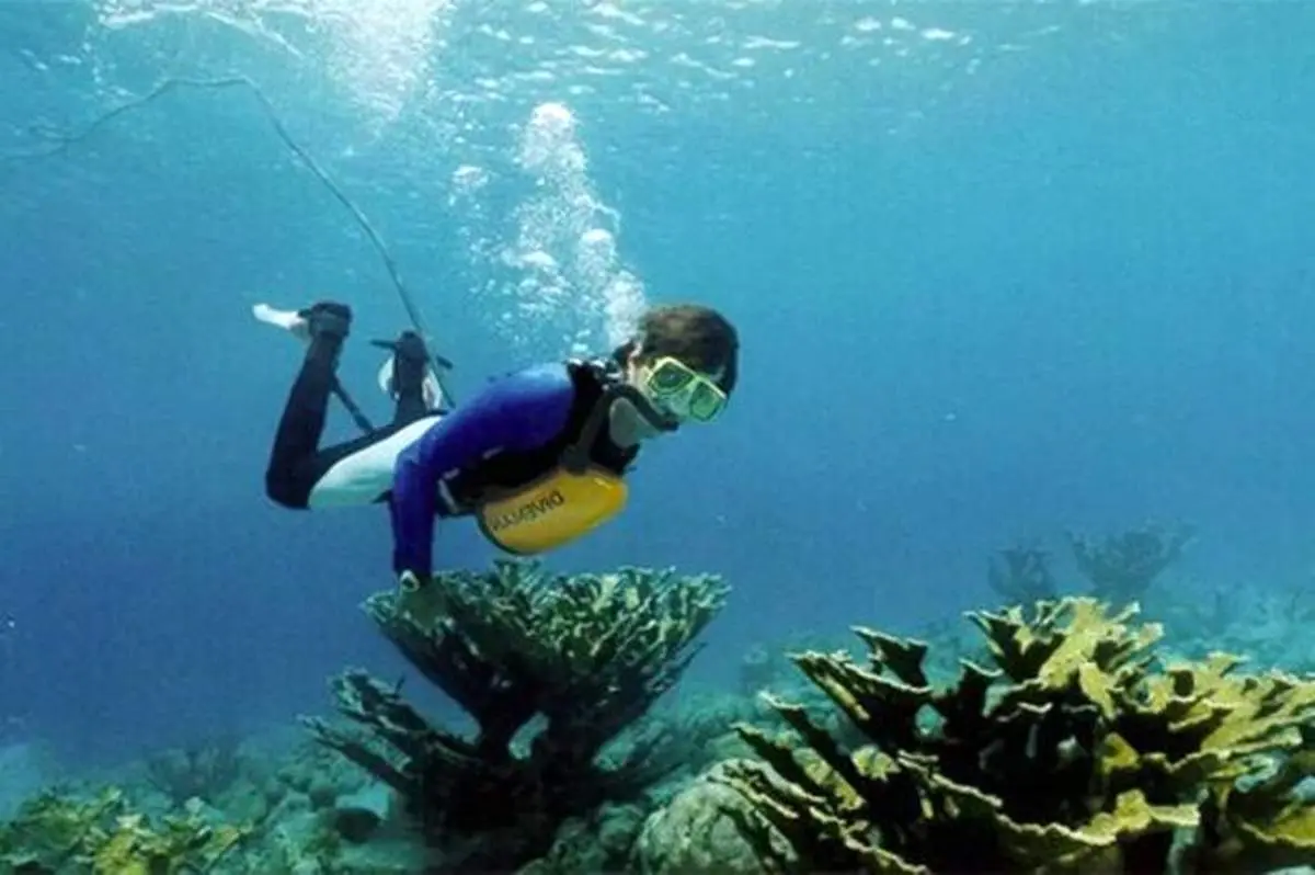 لحظه نجات ماهی گیرافتاده در یک کیسه پلاستیکی در تایلند + فیلم