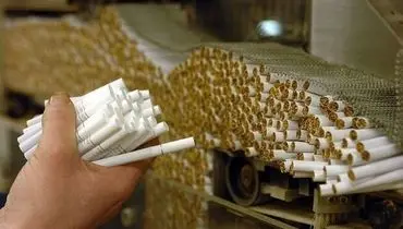 صادرات سیگار نزدیک به ۴ برابر شد