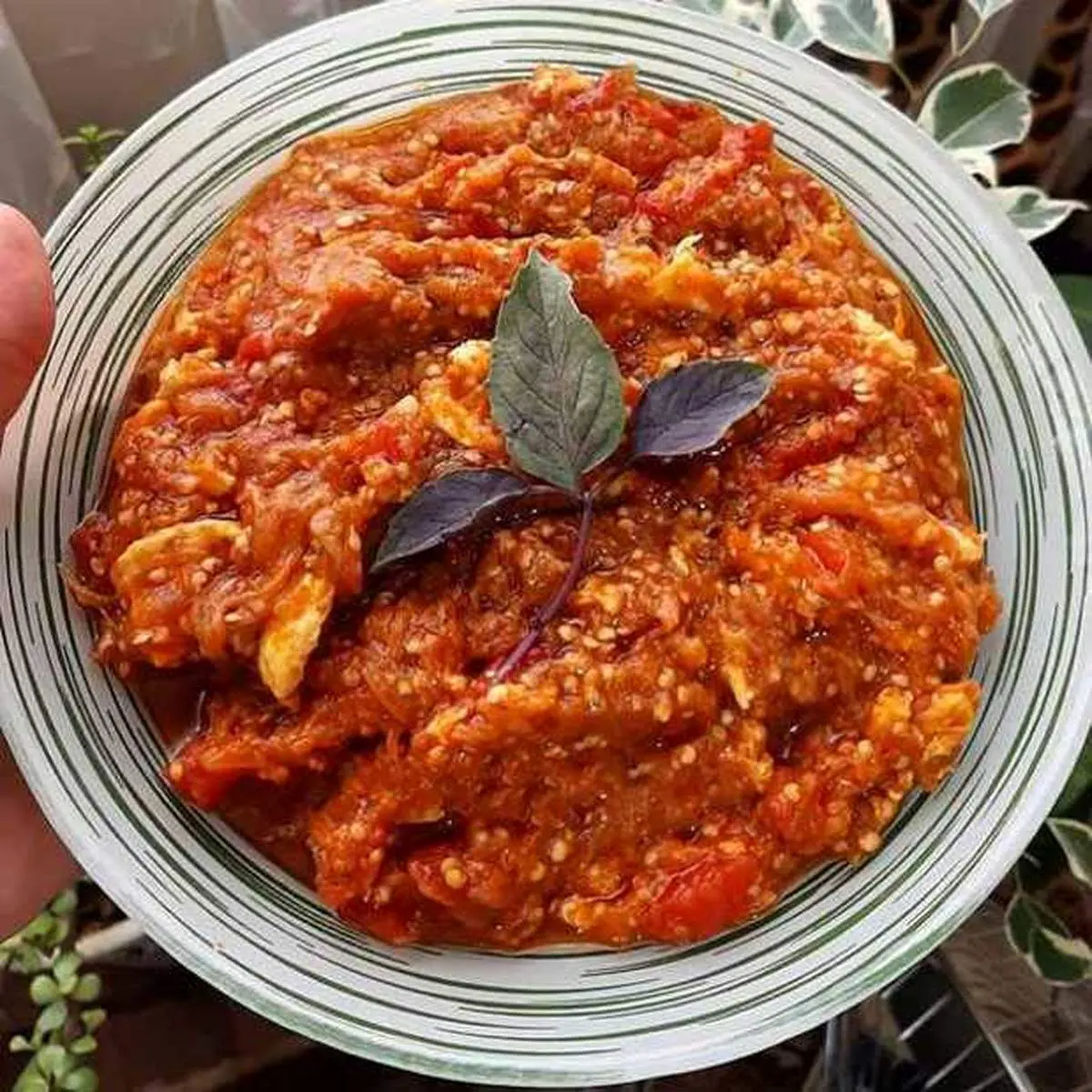 طرز تهیه میرزا قاسمی