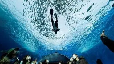 دیدنی های روز؛ از رییس جمهوری آمریکا تا امپراتور ژاپن