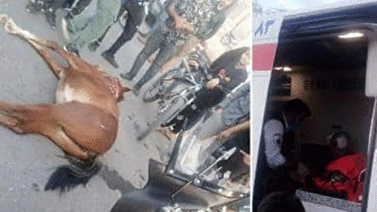 لحظه برخورد اسب فراری با موتورسوار در یزد + فیلم