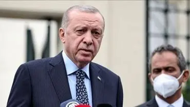 اردوغان: رسانه‌های اجتماعی، تهدیدی برای دموکراسی هستند