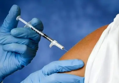 ۱۰ واقعیت جالب و کمترشناخته‌شده درباره نیوزیلند + عکس