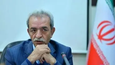 توقف ۳۰ ساله صادرات ایران/ شافعی: یک مریض و چهل قلندر در گمرکات است