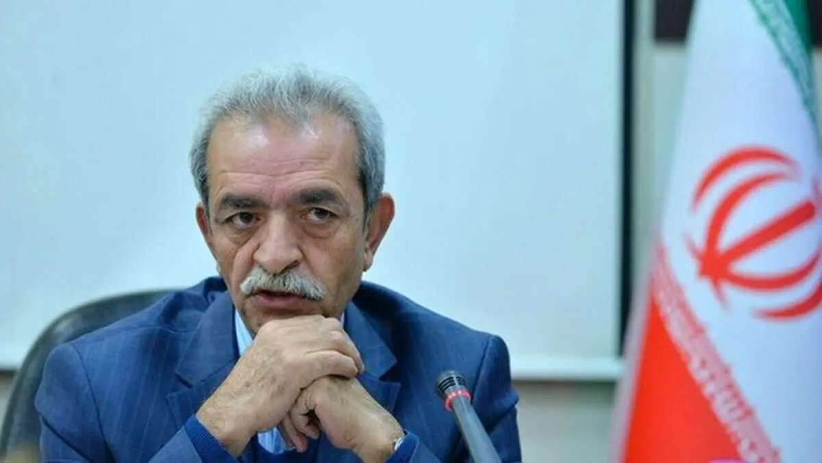 توقف ۳۰ ساله صادرات ایران/ شافعی: یک مریض و چهل قلندر در گمرکات است