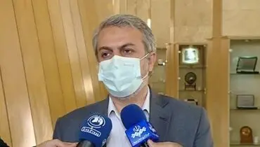 نامه وزیر صمت به روسای قوای مجریه و مقننه: «اینماد» پشتوانه قانونی دارد