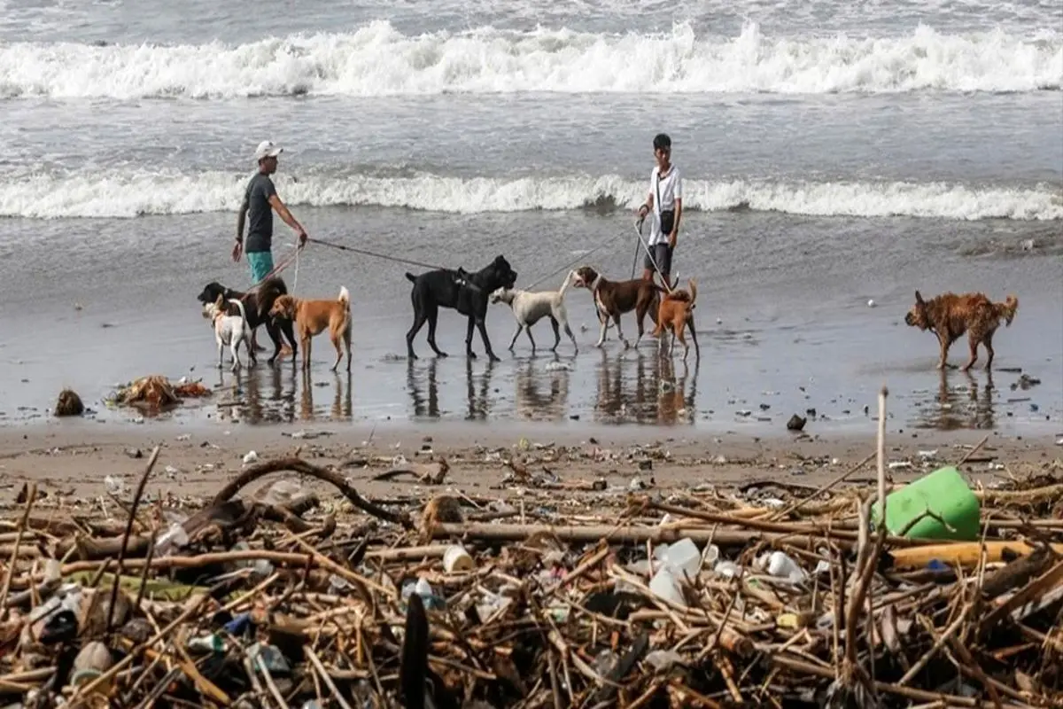 سواحل اندونزی مملو از زباله