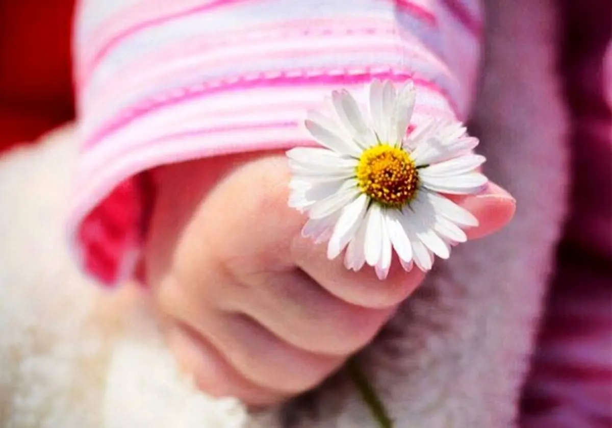 خوشبختی در سایه انتقادپذیری