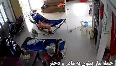لحظه هولناک حمله مار پیتون به یک مادر و دختر بی‌دفاع+ فیلم