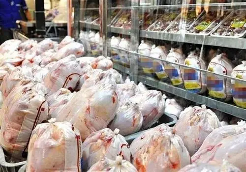 گلایه فروشندگان مرغ از کسادی بازار؛ وضع خراب است!+ فیلم