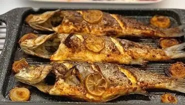 طرز تهیه خوراک ماهی قزل آلا