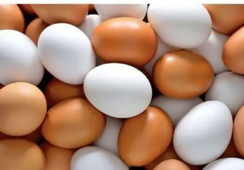 قیمت جدید مرغ و تخم مرغ اعلام شد