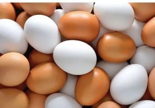 قیمت جدید مرغ و تخم مرغ اعلام شد