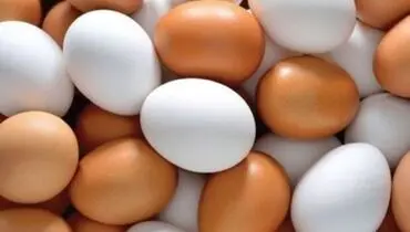 قیمت مصوب مرغ و تخم مرغ