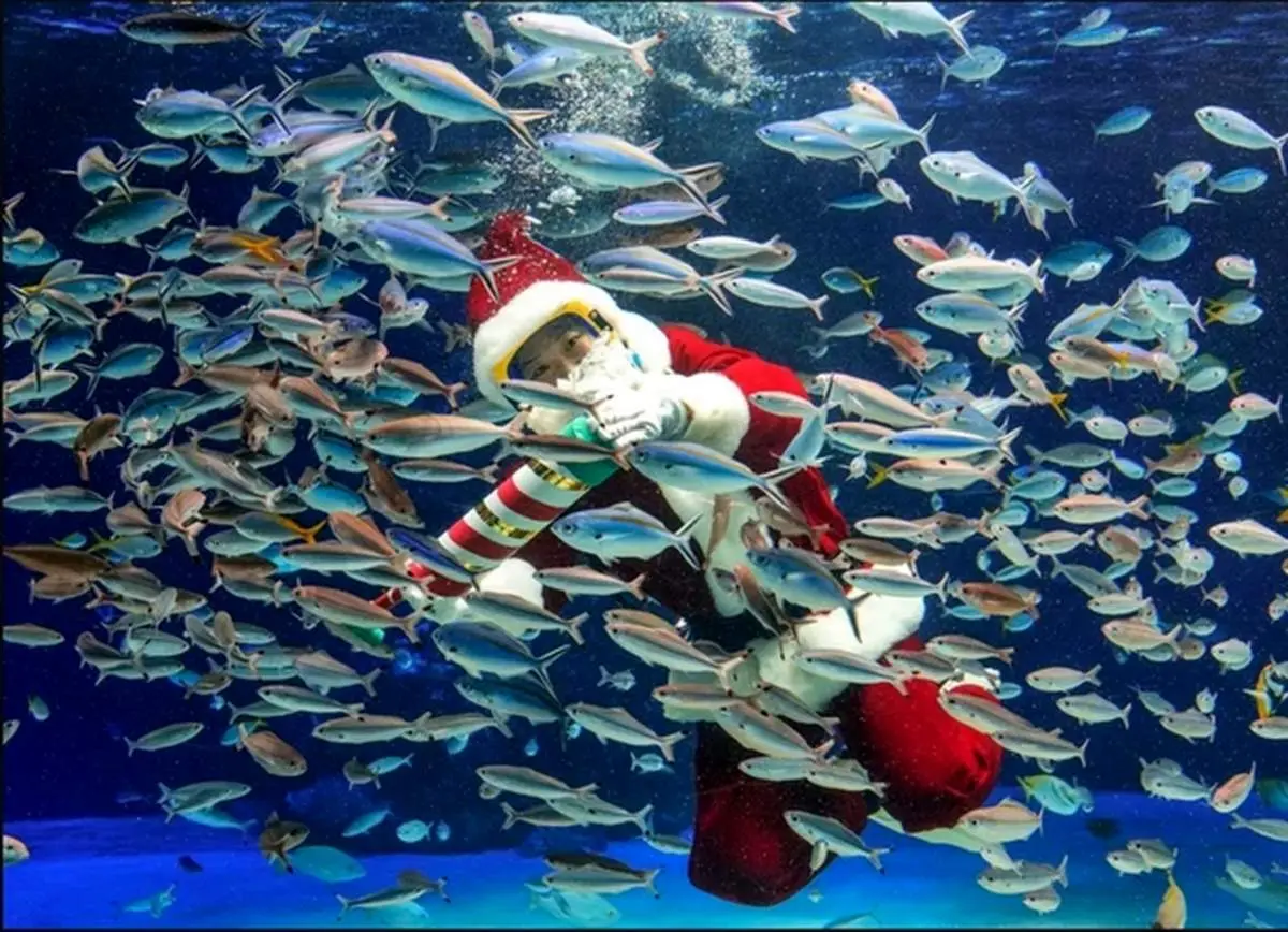 دیدنی های روز؛ از بازارهای کریسمس تا مشعل المپیک زمستانی پکن