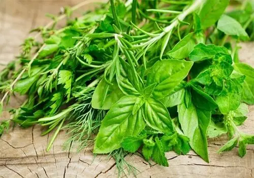 خواص دارویی جنتیانا و کاربردهای آن در طب سنتی
