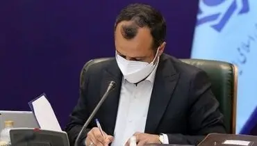 معاون جدید بانک و بیمه وزارت اقتصاد منصوب شد + سوابق