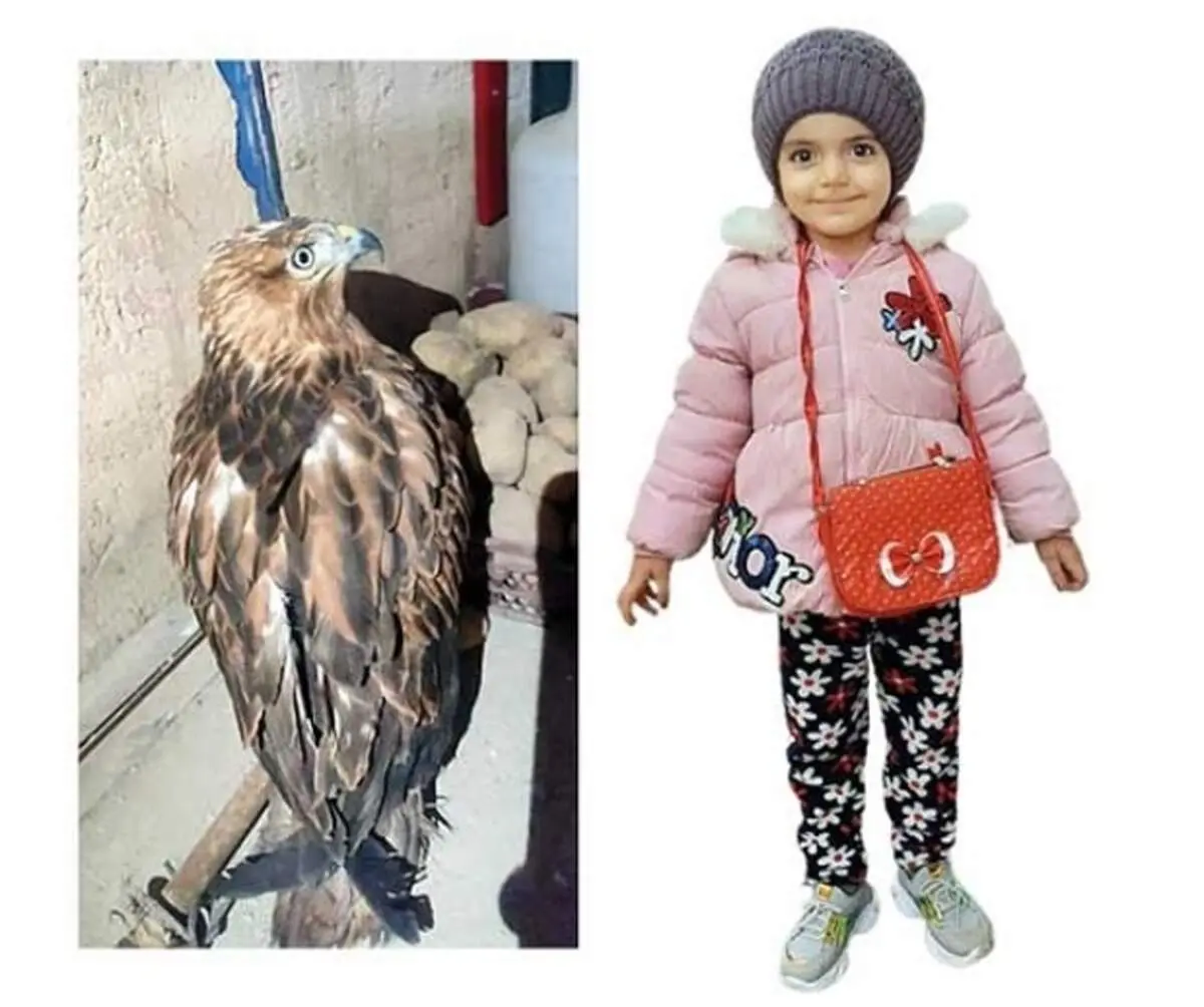 شکار دختر ۳ساله به جای خرگوش! + عکس