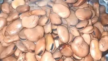 طرز تهیه باقالی پخته بازاری