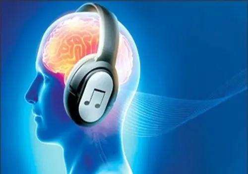 روانشناسی عشق: کدام گل، شخصیت عاشقانه‌ شما را نشان می‌دهد؟

