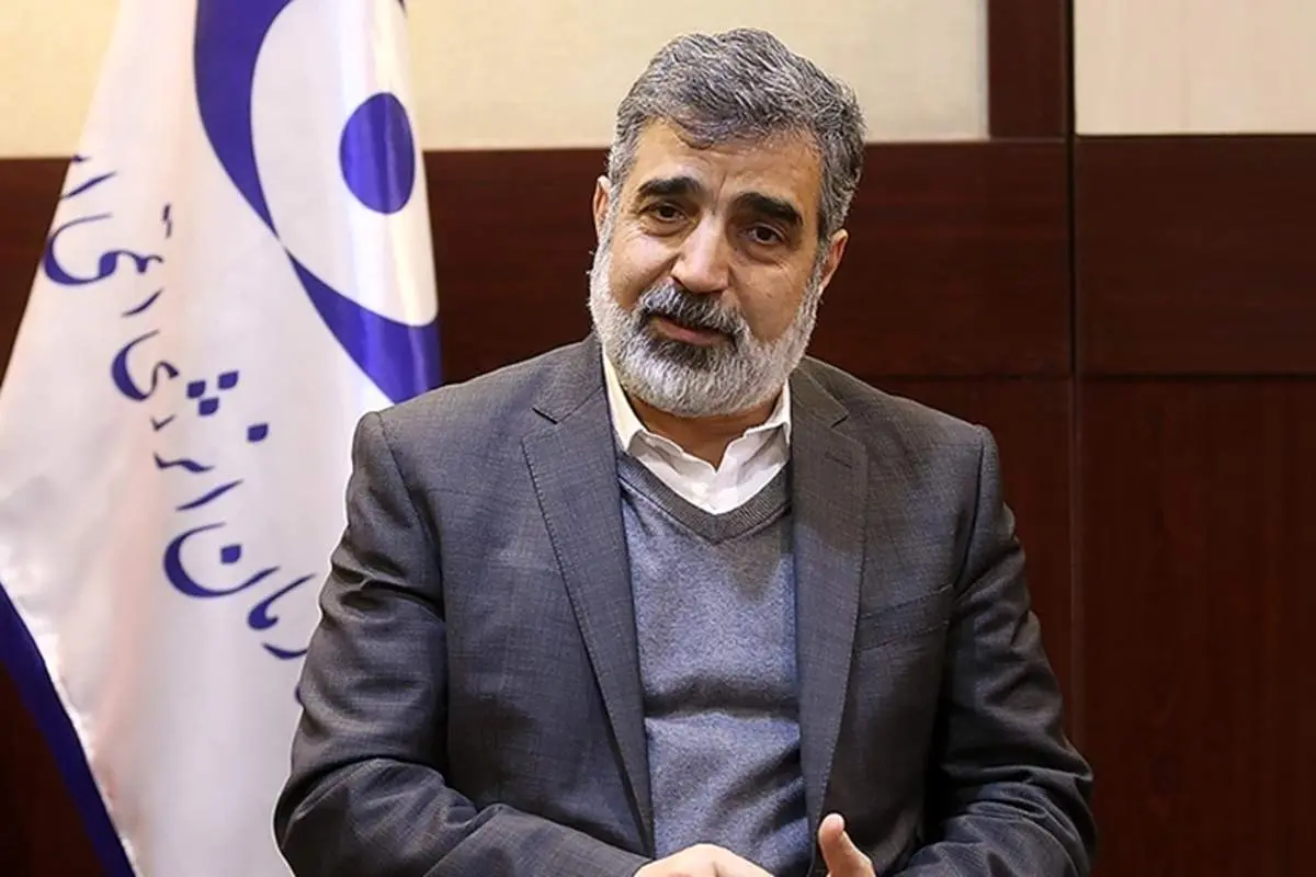 کمالوندی: ایران از امروز فرآیند بررسی‌ دوربین‌ها را در کرج آغاز می‌کند