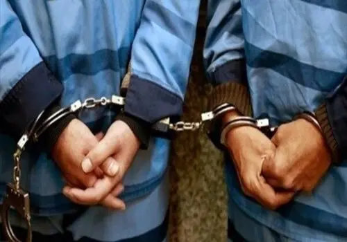 
دستگیری سارقان زورگیر میدان آزادی
