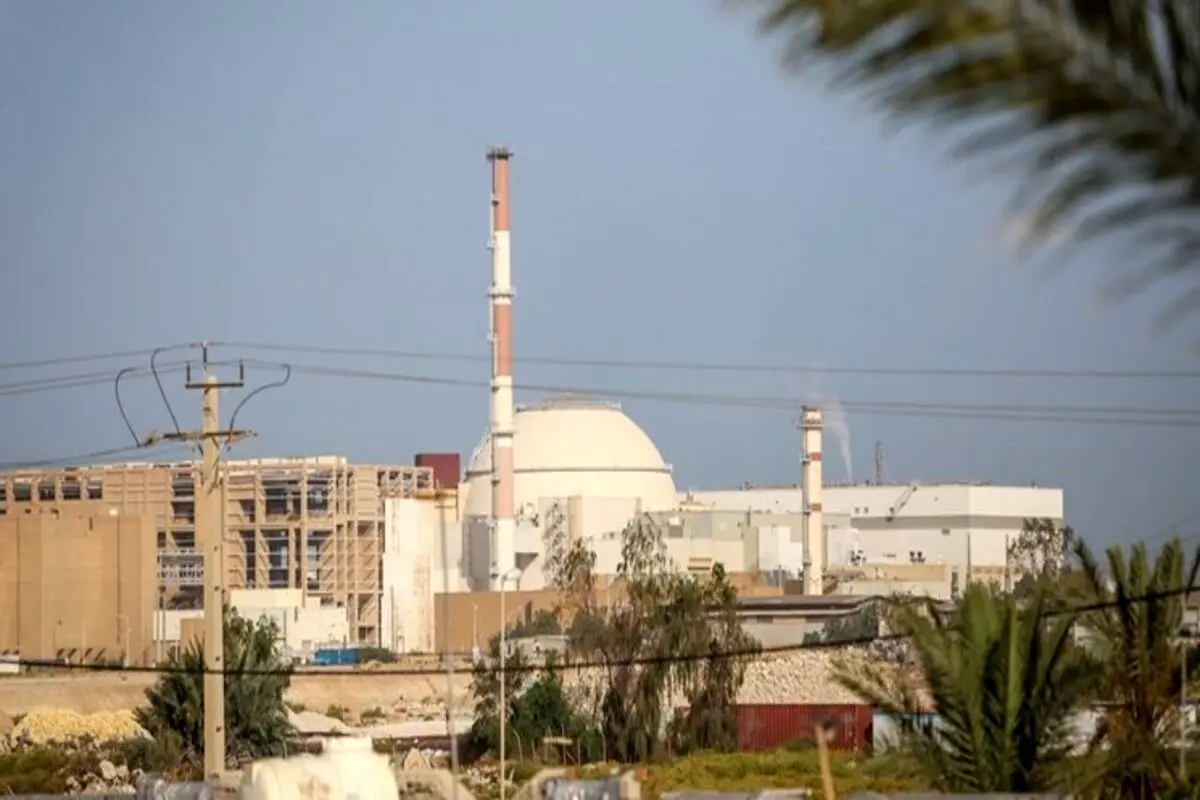 علت شلیک پدافند در اطراف نیروگاه اتمی بوشهر مشخص شد + فیلم
