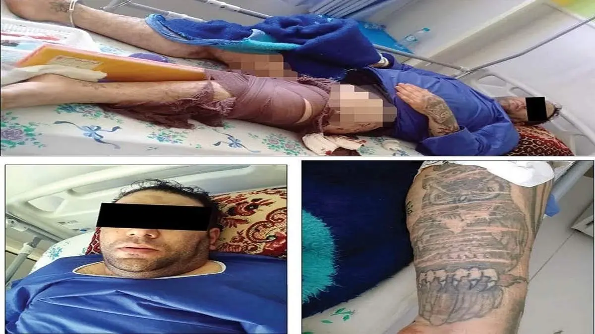 وحشت آفرینی «جغد غول پیکر» در عملیات دلهره آور پلیس + تصاویر