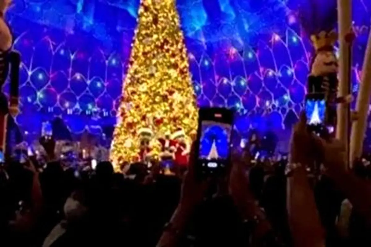 درخت کریسمس در اکسپو دبی؛ زیبا و چشمگیر + فیلم