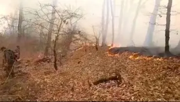 آتش در پارک ملی گلستان دوباره شعله‌ور شد