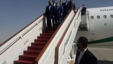 وزیر امور خارجه وارد تهران شد