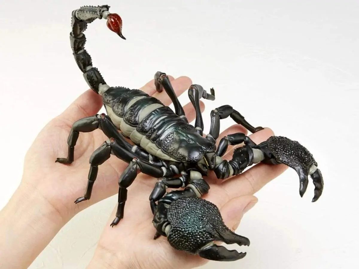 رونمایی از غول‌پیکرترین عقرب جهان؛ ۴۰ سانتی‌متر طول با ۲۰۵ گرم وزن! + فیلم