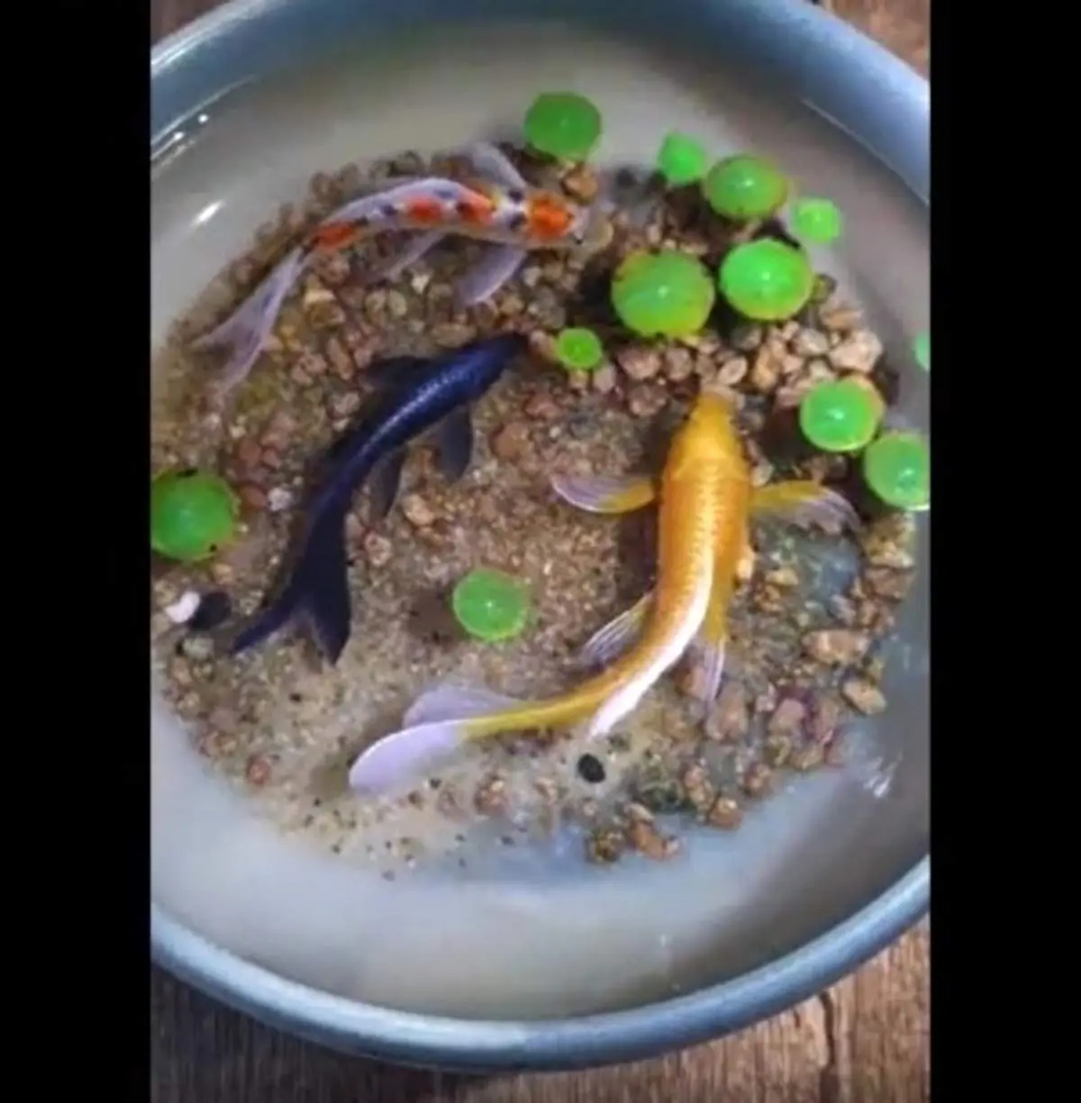 هنر نقاشی سه بعدی با رزین + فیلم