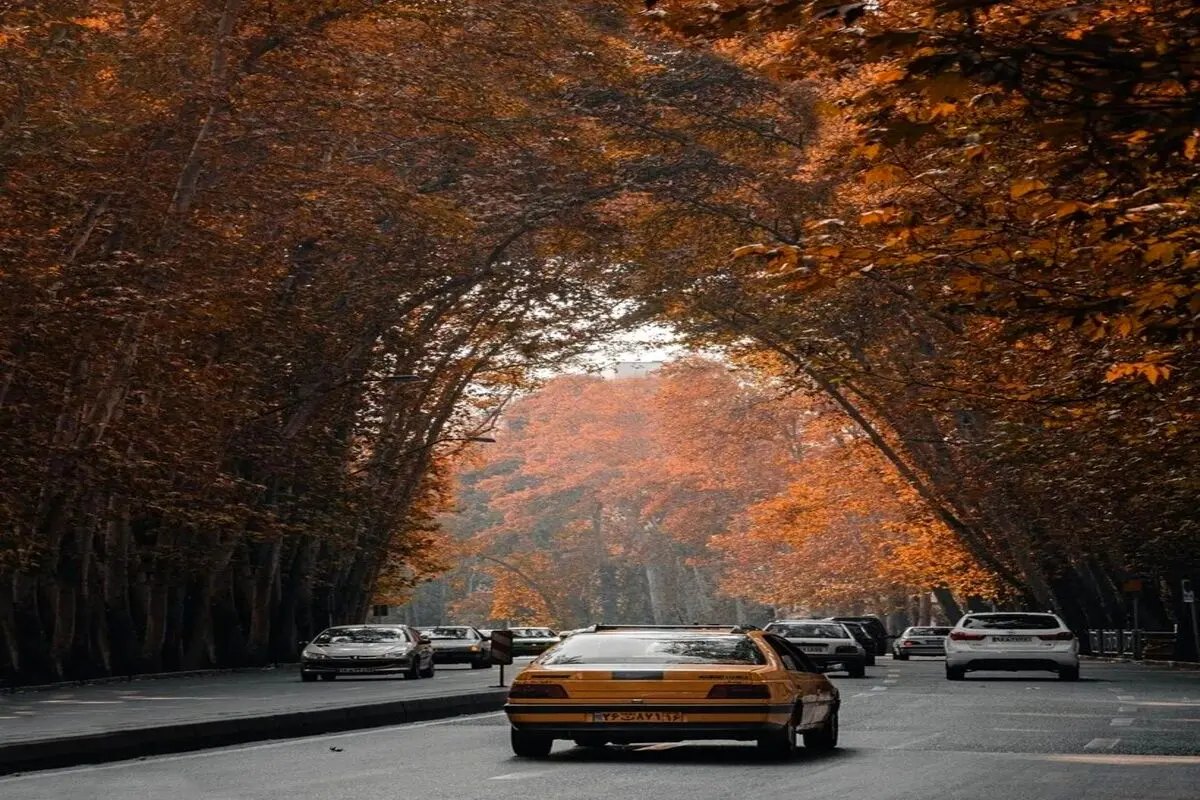 زیباترین حالت خیابان ولیعصر تهران را ببینید + عکس